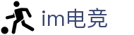 IM(股份有限公司)电竞-电子竞技平台